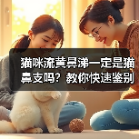 猫咪流黄鼻涕一定是猫鼻支吗？教你快速鉴别！