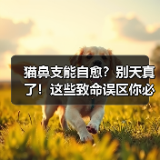猫鼻支能自愈?别天真了!这些致命误区你必须知道!(图3) 猫鼻支能自愈?别天真了!这些致命误区你必须知道!(图3)