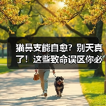 猫鼻支能自愈？别天真了！这些致命误区你必须知道！