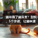 猫咪得了猫鼻支？别慌，5个步骤，让猫咪渡过难关！（图2）