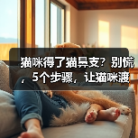猫咪得了猫鼻支？别慌，5个步骤，让猫咪渡过难关！（图4）