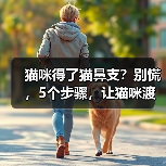 猫咪得了猫鼻支？别慌，5个步骤，让猫咪渡过难关！