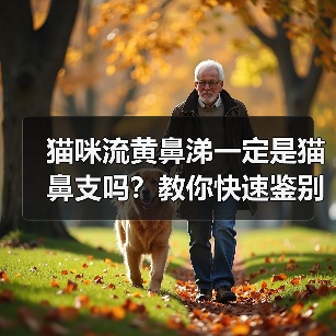 猫咪流黄鼻涕一定是猫鼻支吗?教你快速鉴别!(图2) 猫咪流黄鼻涕一定是猫鼻支吗?教你快速鉴别!(图2)