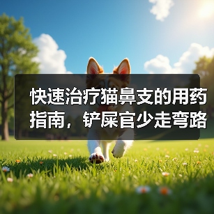 快速治疗猫鼻支的用药指南,铲屎官少走弯路(图4) 快速治疗猫鼻支的用药指南,铲屎官少走弯路(图4)