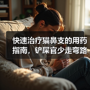 快速治疗猫鼻支的用药指南,铲屎官少走弯路(图2) 快速治疗猫鼻支的用药指南,铲屎官少走弯路(图2)