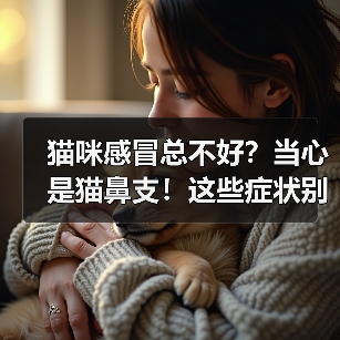 猫咪感冒总不好？当心是猫鼻支！这些症状别忽视！（图4）