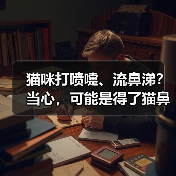 猫咪打喷嚏、流鼻涕？当心，可能是得了猫鼻支的症状！（图3）