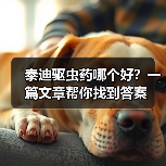 泰迪驱虫药哪个好？一篇文章帮你找到答案（图2）
