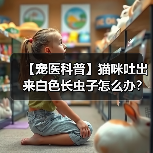 【宠医科普】猫咪吐出来白色长虫子怎么办?(图2) 【宠医科普】猫咪吐出来白色长虫子怎么办?(图2)