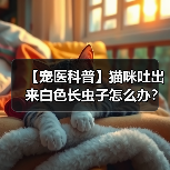 【宠医科普】猫咪吐出来白色长虫子怎么办?(图4) 【宠医科普】猫咪吐出来白色长虫子怎么办?(图4)