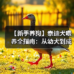 【新手养狗】泰迪犬喂养全指南:从幼犬到成犬的科学养护(图2) 【新手养狗】泰迪犬喂养全指南:从幼犬到成犬的科学养护(图2)