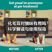 化毛膏对猫咪有用吗？科学解读与使用指南（图4）