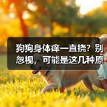 狗狗身体痒一直挠?别忽视,可能是这几种原因!(图2) 狗狗身体痒一直挠?别忽视,可能是这几种原因!(图2)