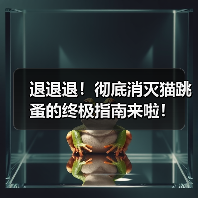 退退退！彻底消灭猫跳蚤的终极指南来啦！（图3）
