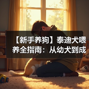 【新手养狗】泰迪犬喂养全指南:从幼犬到成犬的科学养护(图3) 【新手养狗】泰迪犬喂养全指南:从幼犬到成犬的科学养护(图3)