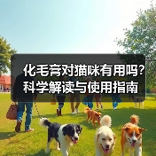 化毛膏对猫咪有用吗？科学解读与使用指南（图3）