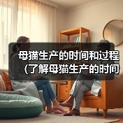 母猫生产的时间和过程(了解母猫生产的时间和过程,帮助您关心和照顾猫咪健康)(图4) 母猫生产的时间和过程(了解母猫生产的时间和过程,帮助您关心和照顾猫咪健康)(图4)