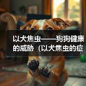 以犬焦虫——狗狗健康的威胁(以犬焦虫的症状及预防措施)(图2) 以犬焦虫——狗狗健康的威胁(以犬焦虫的症状及预防措施)(图2)
