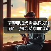 萨摩耶成犬需要多长时间?(探究萨摩耶狗狗的成长周期及关键因素)(图3) 萨摩耶成犬需要多长时间?(探究萨摩耶狗狗的成长周期及关键因素)(图3)