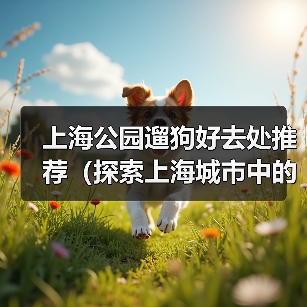 上海公园遛狗好去处推荐(探索上海城市中的狗友乐园,与爱宠共享美好时光)(图3) 上海公园遛狗好去处推荐(探索上海城市中的狗友乐园,与爱宠共享美好时光)(图3)