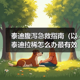 泰迪腹泻急救指南(以泰迪拉稀怎么办最有效)(图2) 泰迪腹泻急救指南(以泰迪拉稀怎么办最有效)(图2)