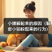 小猫躲起来的原因(解密小猫躲起来的行为)(图2) 小猫躲起来的原因(解密小猫躲起来的行为)(图2)