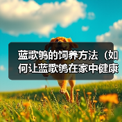 蓝歌鸲的饲养方法(如何让蓝歌鸲在家中健康成长)(图4) 蓝歌鸲的饲养方法(如何让蓝歌鸲在家中健康成长)(图4)
