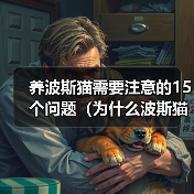 养波斯猫需要注意的15个问题（为什么波斯猫不适合所有人养？-猫）
