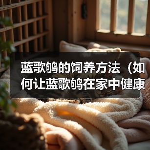 蓝歌鸲的饲养方法（如何让蓝歌鸲在家中健康成长）