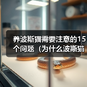 养波斯猫需要注意的15个问题（为什么波斯猫不适合所有人养？-猫）（图4）