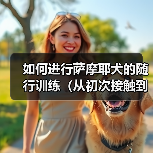 如何进行萨摩耶犬的随行训练(从初次接触到成功实现,为您一一讲解)(图4) 如何进行萨摩耶犬的随行训练(从初次接触到成功实现,为您一一讲解)(图4)