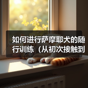 如何进行萨摩耶犬的随行训练(从初次接触到成功实现,为您一一讲解)(图2) 如何进行萨摩耶犬的随行训练(从初次接触到成功实现,为您一一讲解)(图2)