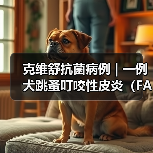 克维舒抗菌病例 | 一例犬跳蚤叮咬性皮炎（FAD）的病例分析