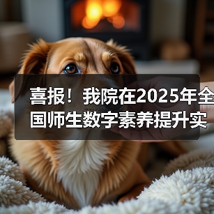 喜报！我院在2025年全国师生数字素养提升实践活动中荣获“标杆作品”！（图3）