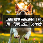 瑞辰宠物医院集团 | 第3周“每周之星”光荣榜(图2) 瑞辰宠物医院集团 | 第3周“每周之星”光荣榜(图2)