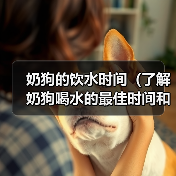 奶狗的饮水时间(了解奶狗喝水的最佳时间和频率)(图2) 奶狗的饮水时间(了解奶狗喝水的最佳时间和频率)(图2)