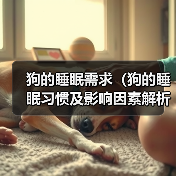 狗的睡眠需求（狗的睡眠习惯及影响因素解析，找寻适合狗狗的睡眠时间）（图3）