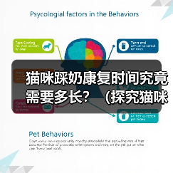 猫咪踩奶康复时间究竟需要多长?(探究猫咪踩奶行为的康复时间及关键因素)(图3) 猫咪踩奶康复时间究竟需要多长?(探究猫咪踩奶行为的康复时间及关键因素)(图3)
