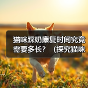 猫咪踩奶康复时间究竟需要多长?(探究猫咪踩奶行为的康复时间及关键因素)(图2) 猫咪踩奶康复时间究竟需要多长?(探究猫咪踩奶行为的康复时间及关键因素)(图2)
