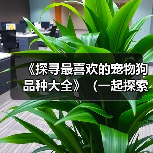 《探寻最喜欢的宠物狗品种大全》（一起探索178个宠物狗品种，寻找真爱）