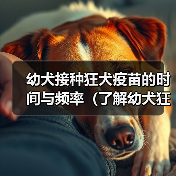 幼犬接种狂犬疫苗的时间与频率(了解幼犬狂犬疫苗的接种规定和注意事项)(图2) 幼犬接种狂犬疫苗的时间与频率(了解幼犬狂犬疫苗的接种规定和注意事项)(图2)