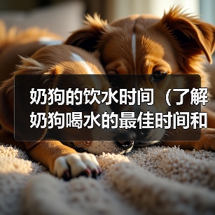 奶狗的饮水时间（了解奶狗喝水的最佳时间和频率）