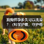 狗狗怀孕多久可以洗澡？（科学护理，守护母犬健康）