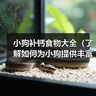 小狗补钙食物大全（了解如何为小狗提供丰富的补钙食物）（图2）