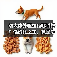 幼犬体外驱虫药哪种好?性价比之王,竟是它!(图1) 幼犬体外驱虫药哪种好?性价比之王,竟是它!(图1)