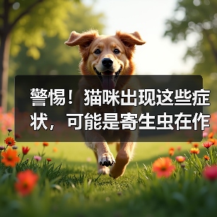 警惕！猫咪出现这些症状，可能是寄生虫在作祟！（图2）
