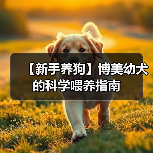【新手养狗】博美幼犬的科学喂养指南（图3）