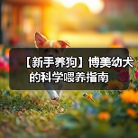 【新手养狗】博美幼犬的科学喂养指南（图1）