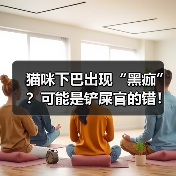猫咪下巴出现“黑痂”？可能是铲屎官的错！（图2）