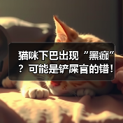 猫咪下巴出现“黑痂”？可能是铲屎官的错！（图3）